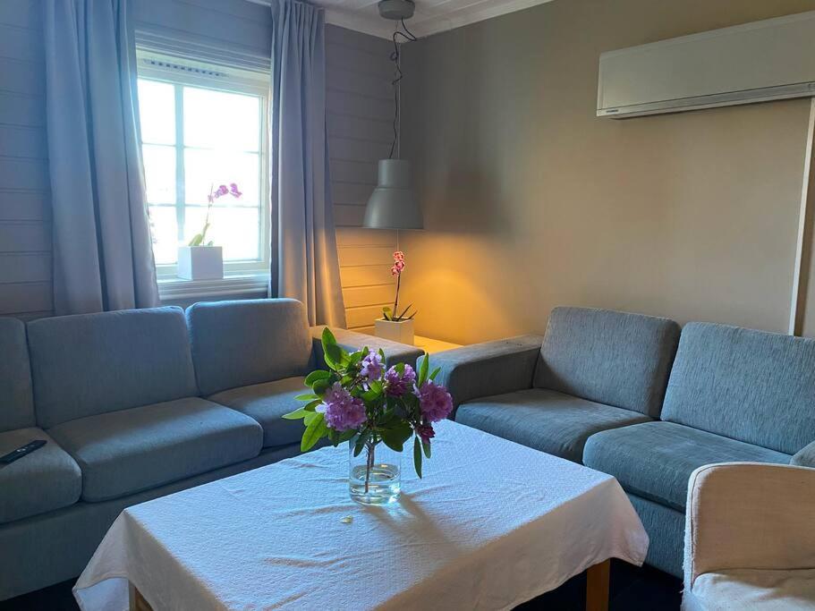 Cosy And Well-Equipped Apartment With Free Parking Тронхейм Экстерьер фото