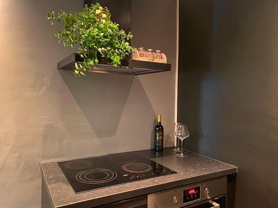 Cosy And Well-Equipped Apartment With Free Parking Тронхейм Экстерьер фото