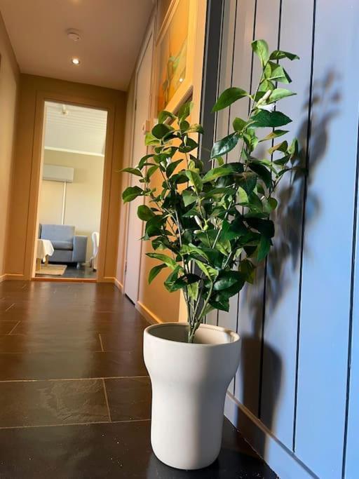 Cosy And Well-Equipped Apartment With Free Parking Тронхейм Экстерьер фото